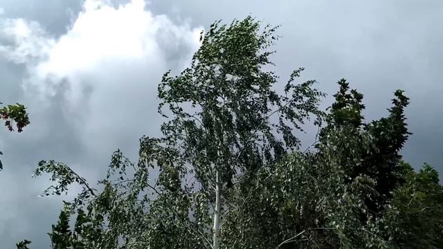 8 августа-что нельзя делать в ЕРМОЛАЕВ ДЕНЬ, народные приметы
