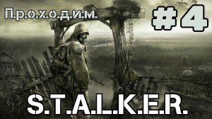 Уютный ламповый стрим. S.T.A.L.K.E.R Shadow of chernobyl. Всем фанатам посвящается)