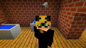 СУПЕР КОТ УЗНАЛ СЕКРЕТ ЛЕДИ БАГ В МАЙНКРАФТ ЛЕДИ БАГ НОВАЯ СЕРИЯ MINECRAFT 4 СЕЗОН