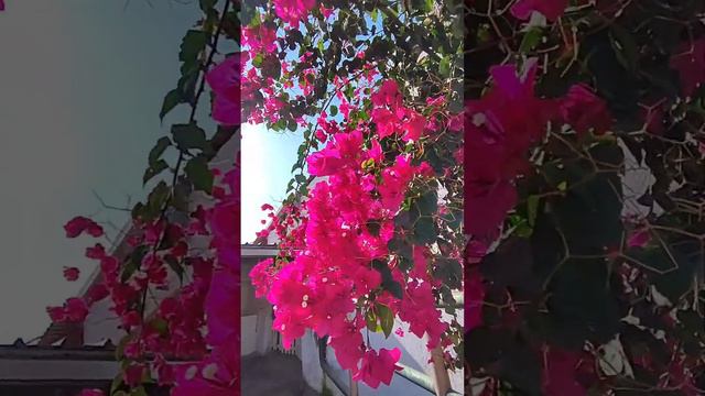 Крит в ноябре - как выглядит остров за пределами лета смотреть онлайн