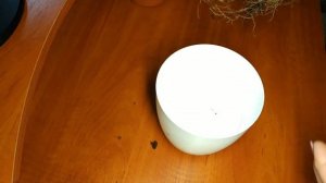 КОРДЕЛИНА / Пересадка после покупки / Домашние комнатные растения