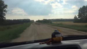 Трасса от Барнаула в Славгород через Знаменку.