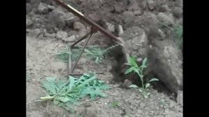 Чудо Лопата 1.4