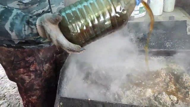 БЫСТРЫЙ ОТКОРМ СВИНЕЙ С КАРТОШКОЙ, СВИНЬИ РАСТУТ КАК НА ДРОЖЖАХ. ЖИЗНЬ В ДЕРЕВНЕ