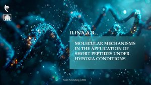 Molecular mechanisms in the application of short peptides under hypoxia conditions