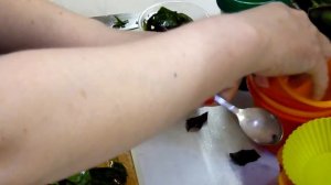 Заморозка свекольных листьев на зиму