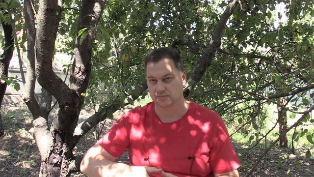 Духовное развитие без прикрас - Лабиринты Знаний