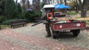 УБОРКА ЛИСТВЫ Ботанический сад Золотая осень Минск Беларусь // Botanical garden Belarus Minsk Autum