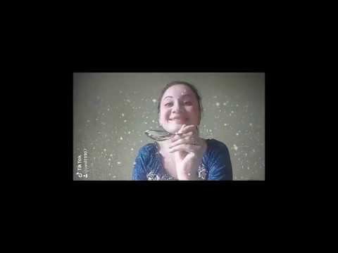 Филармония дома. Яна Сафронова