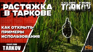 🎙 РАСТЯЖКИ ИМБА? | КАК ОТКРЫТЬ И ПРИМЕР РАБОТЫ [ESCAPE FROM TARKOV] | PingH8