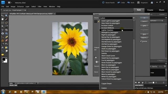 Photoshop Elements ElementsPlus Curves смотреть онлайн
