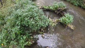 Рыбалка с рогаткой и дротиками осенью #37