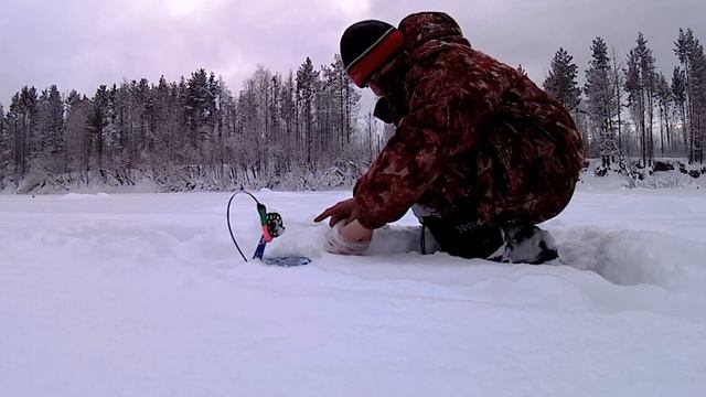 Сосьва Жерлицы! Гринписовская Рыбалка! смотреть онлайн