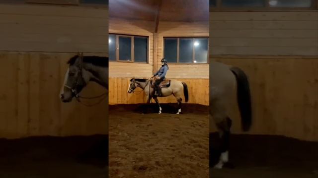 вестерн в россии, заездка буденовской лошади, тренировка 2 смотреть онлайн