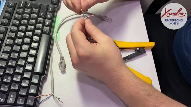 Видео-урок на тему: «Компьютерный кабель-соединение витой пары». смотреть онлайн