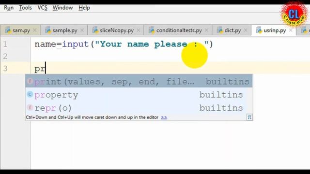 Reading User Input in Python