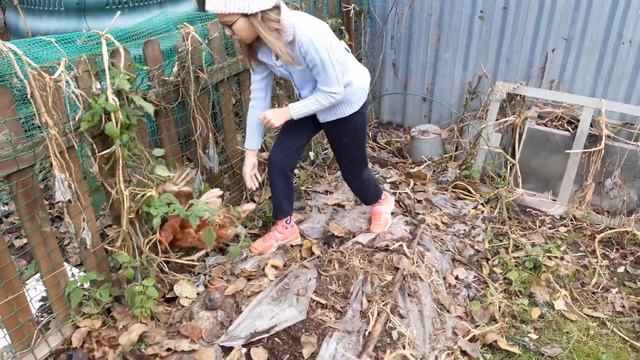 Побег из курятника смотреть онлайн