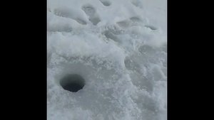 НОВЫЕ ПРАВИЛА РЫБОЛОВСТВА В РОССИИ . Новые запреты для рыбалки и рыболовства.