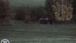 Монолог о Пушкине 1971