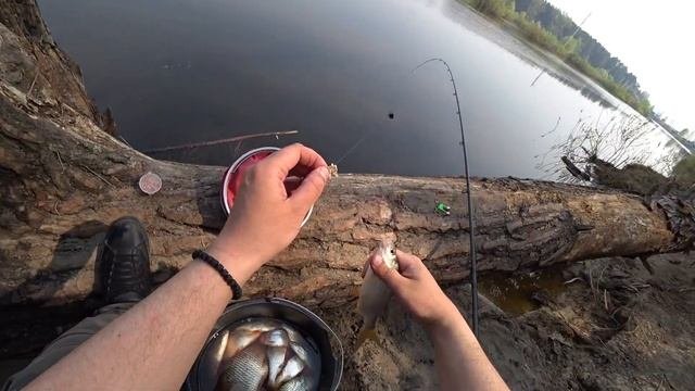 БЕШЕНЫЙ КЛЕВ НА ДИКОЙ РЕЧКЕ ПЫШМА!УДАЧНАЯ РЫБАЛКА!КЛЕВ  КАК ИЗ ПУЛЕМЕТА!