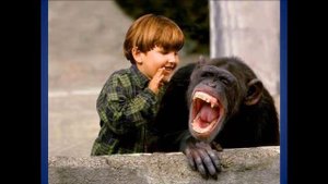 18+ сборники анекотов с матом до слез