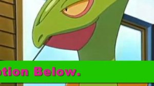 Ash's Sceptile Redemption Arc (Links in Description)