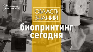 Когда мы начнем печатать дома и органы? Лекция материаловеда Дмитрия Кузнецова.