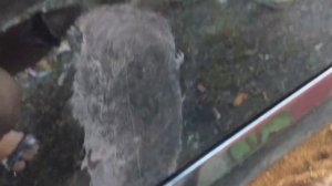 ОБЗОР Turtle wax color magic цветообогащенный восковой автополироль