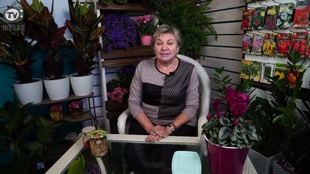 Замороженные овощи на зиму ? Заморозка овощей на зиму в домашних условиях смотреть онлайн