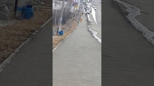 Марк скатился на самокате с большой горки в городе(без тормозов!!!)