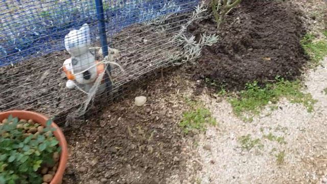 Первая Органическая подкормка роз-"Зеленая бродилка"-Рекомендую!!! 15 апреля 2021 года смотреть онлайн