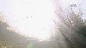 Дикая природа Царские Секреты _ Royal Secrets HD .mp4