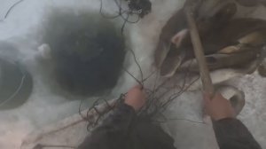 И снова мы на Енисее. Проверяем перемет в -40🥶