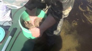 Прикормка на камбалу!