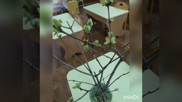 пошуково-дослідницька діяльність " Розбудимо гілочки від зимового сну" смотреть онлайн