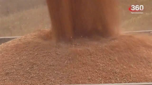 Новый урожай зерновых культур в Забайкалье проведут через ФГИС _Зерно.wmv