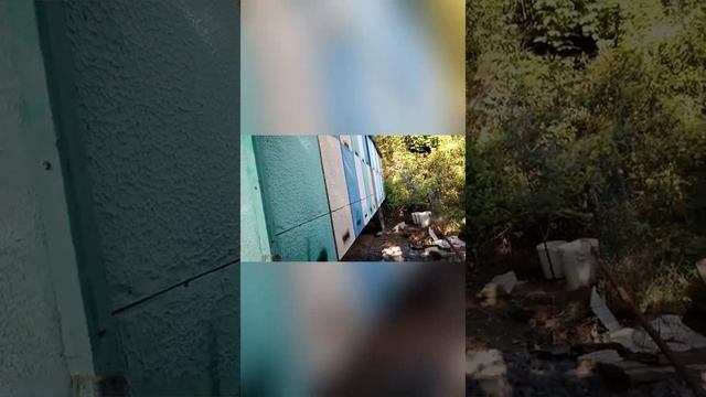 Павельон для пчёл! меняем двп на металл