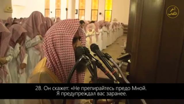 Мухаммад аль-Люхайдан. Сура 50 Каф.