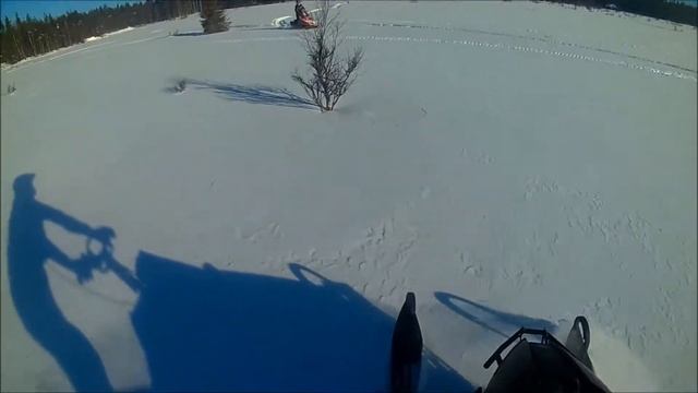 Arctic Cat M800 Bdx pro lite 950 смотреть онлайн