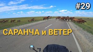29. Россия-Казахстан, Саранча атакует! Ветер сдувает 😁