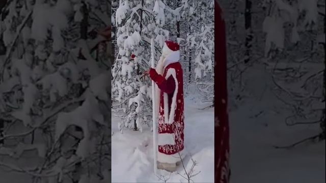 Дед Мороз...шикинаууууу