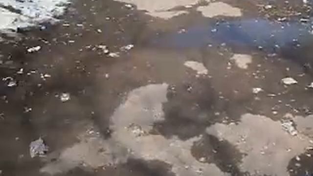 Как на свалке.AVI смотреть онлайн