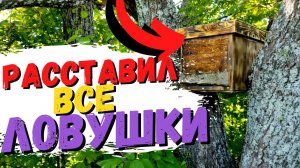 Заканчиваю расстановку ловушек на пчёл #51