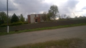 Саварка - место контрастов. Цветы в руинах.