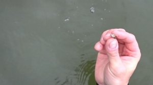 Результаты поиска под водой на пруду и речке