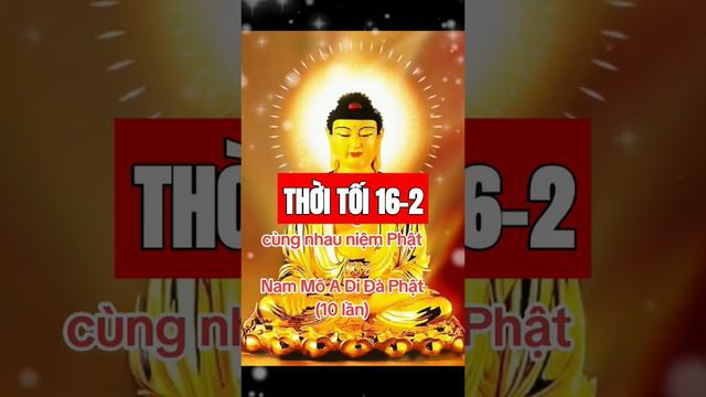 THƯỜNG NIỆM PHẬT смотреть онлайн