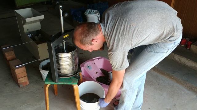 Отжим мезги на прессе, сок самотёк и прессование ягод смотреть онлайн