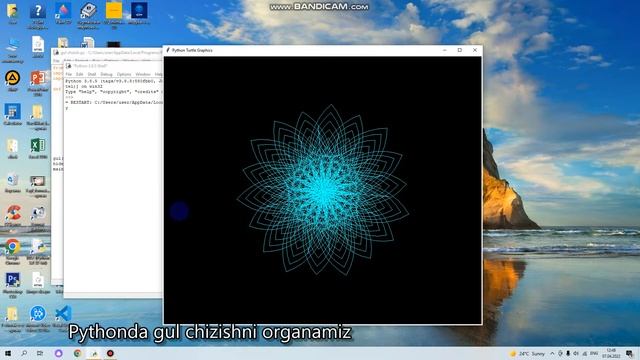 Pythonda gul chizish