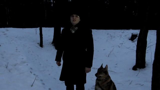 Фёдор Тютчев "Чародейкою Зимою..." 1852г. смотреть онлайн