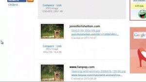 как сделать фото уникальным